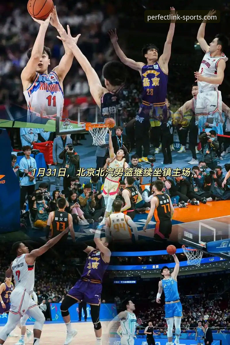CBA季后赛横扫晋级操作教程：完美体育手机版观赛体验全解析